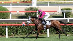 At yarışlarında ‘doping’ gitti, yerine iki kelime geldi!