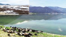 Avlan Gölü kurumaya başladı