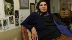 Ayşe Şasa’nın kitaplığı bu kütüphanede