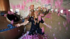 Berdan Mardini’nin fabrikasından dünyaya gül suyu