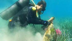 Deniz değil çöplük!