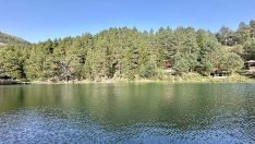 Doğayla buluşmanın adresi: Limni Gölü Tabiat Parkı