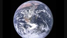 Dünya’daki yaşamın nasıl geliştiğini açıkladılar