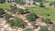 Edirne’nin yeni cazibe merkezi: Musabeyli Korusu