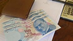 Emekli zammı ne kadar, yüzde kaç olacak?