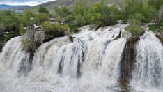 Kar eridi, yağışlar arttı… Muradiye Şelalesi coştu