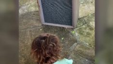 Korku filmi gibi olay: Canavar gördüğünü söyleyen çocuğun odasından çıkanlar şoke etti