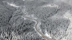 Mayıs ayında beyaza bürünen Ilgaz Dağı büyüledi