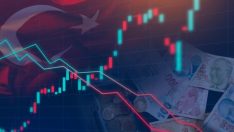 OECD’den Türkiye tahminleri