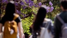 Öğrencilerin 2 milyar dolarlık kredi borcunu siliyorlar