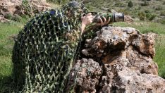 Sınıf öğretmeni 380 kuş türünü kaydetti