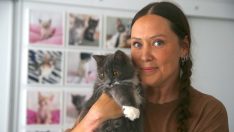 Türkiye’ye yerleşti, evini ‘kedi evi’ne dönüştürdü