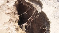 Uzmanlar uyardı: Bu bizi felakete götürüyor