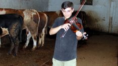 20 yaşındaki Hamit hayvanlarına her gün ahırda keman çalıyor