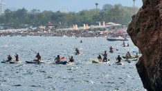 Akdeniz’de ‘Sub board’ tehdidi… Foklar yavrusunu terk edebilir