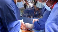 Araştırma: Organ nakli olanların kişiliği de değişiyor