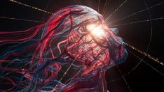 Bilim insanları 100 vakayı inceledi! İşte ölümden sonra sizi bekleyenler