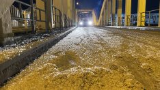 Birgün sineklerinin ‘ölüm uçuşu’ başladı