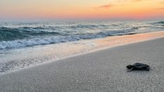 Bu sahillere gece girişin cezası 387 bin TL