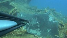 Dalışta, kuyruğu kesilip, halat bağlanmış vatozu görüntüledi