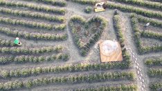 Fotoğrafseverlerin durağı