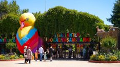 Gaziantep Hayvanat Bahçesi’ni 3 günde 27 bin kişi ziyaret etti