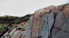 Göktürkler dönemine ait Tamgalı petroglifleri halen korunuyor