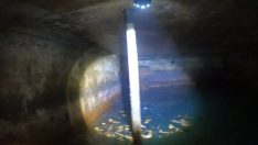 Hayatlarının şokunu yaşadılar: Evlerinin altından gizli tünel çıktı