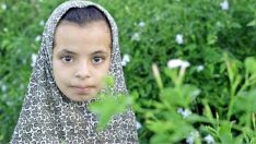 İSİG Meclisi, BBC’nin Parfüm Endüstrisinde Çocuk İşçi Skandalı Araştırmasını Paylaştı!