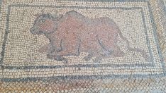 Osmaniye’de bulunan Roma dönemi mozaikleri gün yüzüne çıkarılıyor