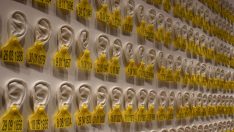 Sanata Bi Yer platformunun yeni sergisi “Göz Teması” açılıyor