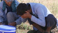 Şanlıurfa’da sıcaklık 50 dereceye yaklaştı