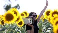 Trakya’da “gündöndü” tarlaları agro turizmine katkı sunuyor