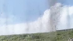 Yeşil sinekler hortum görüntüsü oluşturdu