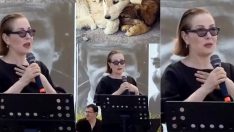 Zuhal Olcay sokak hayvanları için konuştu: Biz kim oluyoruz, bu ne cüret