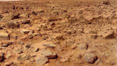 Mars’ta hayatta kalabiliyor! İnsan yaşamını başlatabilir