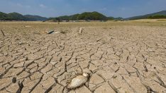 Kuraklık krizi: Son 40 yılda üç katına çıktı