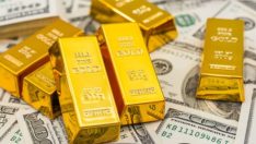 Küresel çalkantılar altına yaradı:  Tam 35 kez rekor kırdı