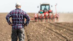 Tarımda üretici enflasyonu eylülde yüzde 31,09 oldu