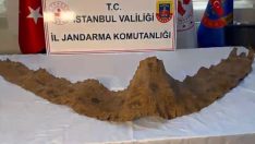 Üzerinde İbranice yazılar bulundu… 2 bin yıllık piton derisi!