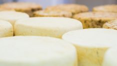 Yumurtadan daha fazla protein içeriyor! Turistler kilo kilo alıyor