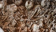 Araştırmacılar 20’den fazla ceset buldu: Hepsi aynı kaderi paylaşıyor