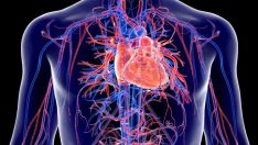 Damarlardaki sinsi tehlike: Aort Anevrizması