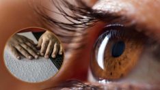 Görme engellilere umut olacak gelişme! Kök hücre tedavisinde önemli ilerlemeler kaydedildi