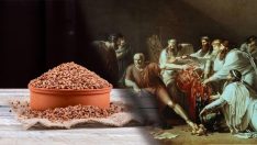 Hipokrat yüzyıllar önce önermişti: Binbir derde deva hayıt otunun mucizeleri bitmiyor!