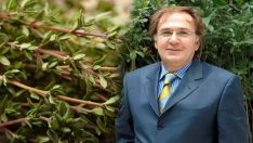 Prof. Dr. İbrahim Saraçoğlu’ndan sigarayı bıraktıran kekik kürü!