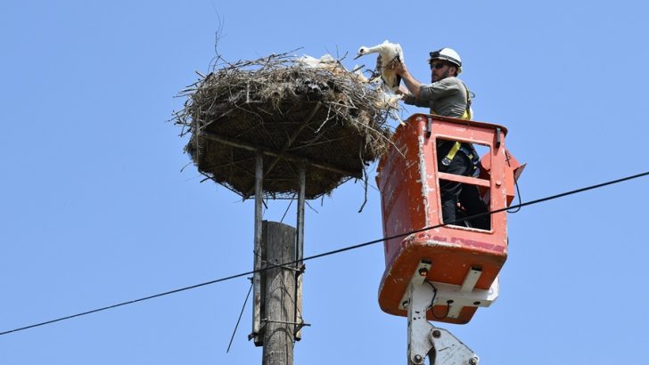 TRAKYA’NIN KUŞLARI HALKALANIYOR