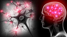 BEYİN SİNYALLERİNİ ANLAMAK KİŞİYE ÖZEL EĞİTİM ÇÖZÜMLERİNİN KAPISINI ARALIYOR