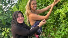 MANAVGAT’IN TROPİKAL KRALİÇESİ ŞEVKİYE DURGUN, RENKLİ BİR ETKİNLİĞE HAZIRLANIYOR