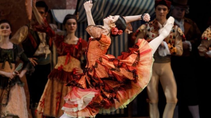 DON KİŞOT İLE SANATSEVERLERİN KARŞISINA ÇIKIYOR